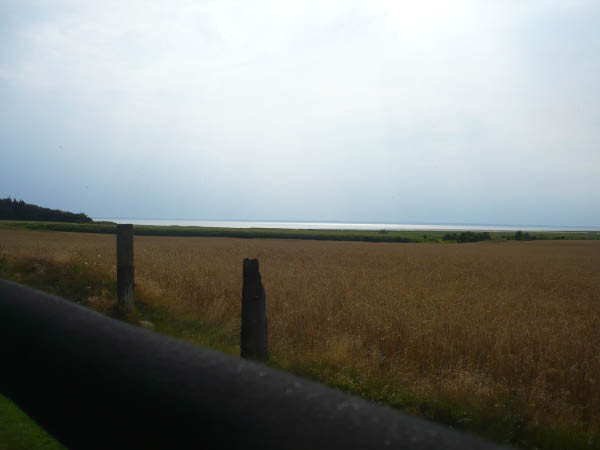 P1000856
