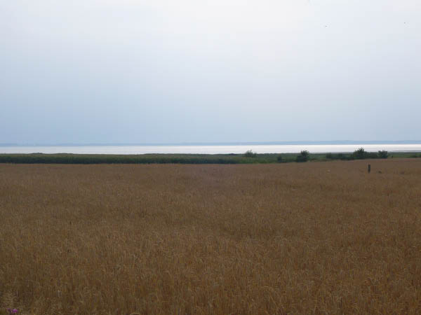 P1000858