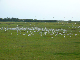 P1000855