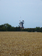 P1000859